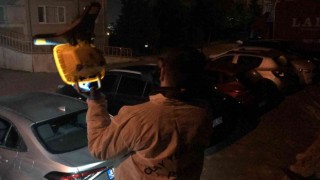 Oğlunun saldırısına uğradı, boğazını sıkarak hastanelik etti