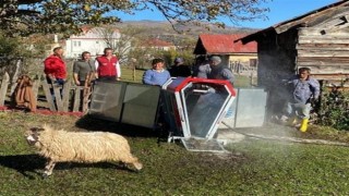 Orduda mobil koyun yıkama banyoları hizmete girdi