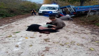 Orduda patpat kazası: 2 yaralı