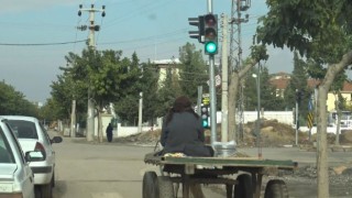 Örnek at arabacısı