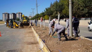 OSB yolunda ağaçlandırma çalışması