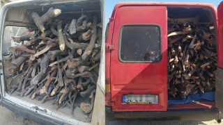 Osmaniye’de 25 ton kaçak orman emvali ele geçirildi