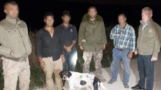 Osmaniye’de oklu kirpi avlayan 3 kişiye 9 bin 81 lira ceza kesildi