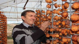 (ÖZEL) Kurutmaya bıraktıkları cennet hurmalarına adeta çocuk gibi bakıyorlar