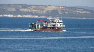 (Özel) Uzmanlarından flaş balık uyarısı
