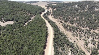 Özükavak beldesinde 5 kilometrelik yayla yolu kullanıma açıldı