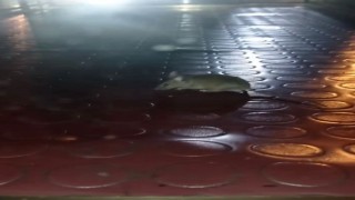 Pendikte mide bulandıran görüntü: Simit tezgahından fare çıktı