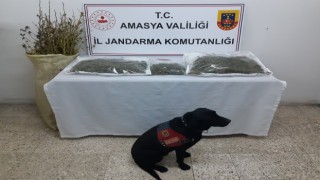 ‘Puslu 4 kilo uyuşturucuyu saklandığı yerde buldu