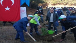 Salihlide Öğretmenler Günü ağaç dikme etkinliği düzenlendi
