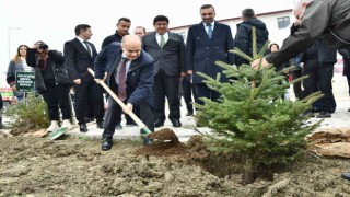 Samsunda 100 bin fidan toprakla buluştu