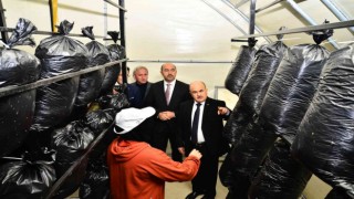 Samsundaki bu tesis sayesinde mantar zehirlenmeleri azalacak