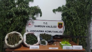 Samsunun 10 ay 10 günlük uyuşturucu raporu: 100lerce kilo ve 100 binlerce kök uyuşturucu ele geçirildi