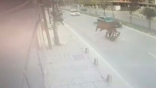 Sancaktepede yola çıkan başıboş ata motosiklet çarptı