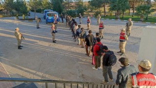 Şanlıurfada 24 kaçak göçmen yakalandı
