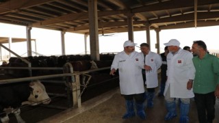 Şanlıurfada kent sorunlarına neşter vuruluyor