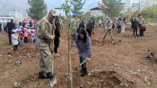 Sasonda 14 bin fidan toprakla buluşturuldu