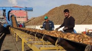 Şeker pancarından Muş ekonomisine 1 milyar 400 milyon liralık tatlı katkı