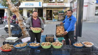 Sezonun ilk melki mantarları Sındırgıdan