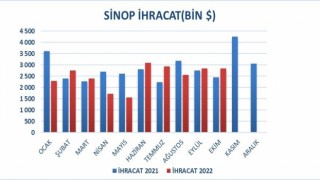 Sinopun dış ticareti yüzde 16 arttı
