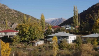 Şırnakın bal ormanları farklı renk tonlarıyla göz kamaştırdı