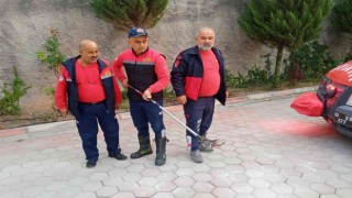 Site bahçesinde yılan paniği