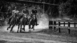 Sizin Gözünüzden Gölcük konulu fotoğraf yarışmasında dereceye girenler belirlendi