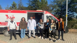 Sokak sokak gezen Patibüs, hayvanların yardımına koşuyor