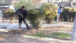 Sonbahar yaprakları toplanıp gübreye dönüştürülüyor