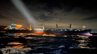Sudandan İstanbula ilerleyen gemi Balıkçı Adası açıklarında karaya oturdu