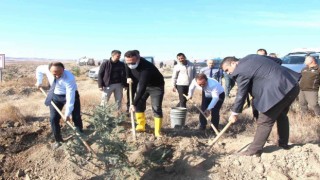 Sungurlu Adalet Ormanına 600 fidan dikildi