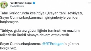 Tahıl koridorunda sevkiyat yeniden başladı