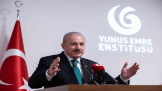 TBMM Başkanı Şentop, Viyanada Türk sivil toplum kuruluşlarının temsilcileriyle görüştü