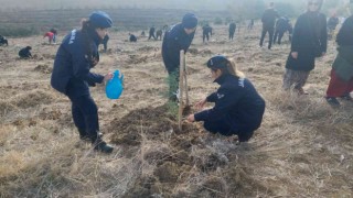 Tekirdağda 1 yılda 693 bin fidan dikilecek
