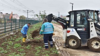 Tekkeköyde 1500 fidan toprakla buluştu