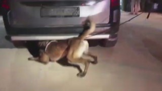 TEMde durdurulan araçtan 32 kilogram uyuşturucu ele geçirildi