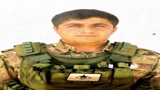 Terör örgütü PKK/YPGnin sözde Ayn İsa eyalet sorumlusu Sulayva etkisiz hale getirildi