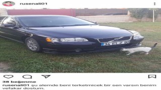 Tır ile çarpışan otomobilin sürücüsü hayatını kaybetti