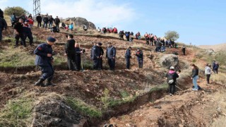 Tokatta, 8 bin fidan toprakla buluştu