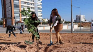 Toros Üniversitesi öğrencileri fidanları toprakla buluşturdu