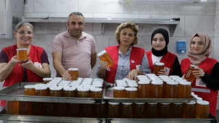 Türk Kızılayın kadınları Palandökende bal üretti