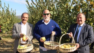 İzmir'in Selçuk İlçesinde “Ayva Hasat Töreni” düzenledi
