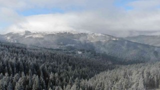 Türkülere konu olan Ilgaz Dağı beyaza büründü