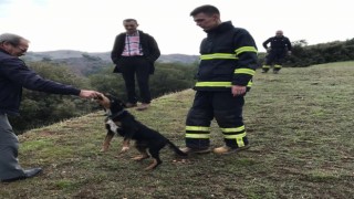Uçuruma düşen köpeği itfaiye kurtardı