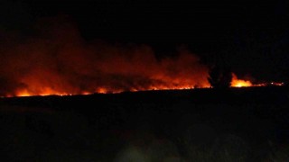 Uluslararası koruma altında bulunan Göksu Deltasında yangın