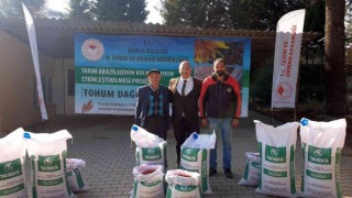 Un fiyatlarının düşmesi için buğday ekilen alanlar artıyor