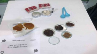 Üniversiteli genç bilim adamı ıspanaktan plastik üretti