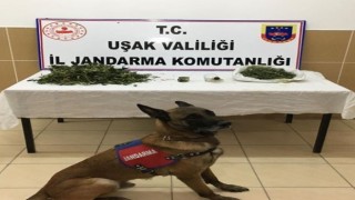 Uşakta 2 uyuşturucu taciri tutuklandı