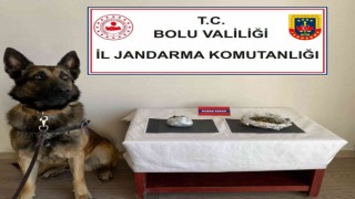 Uyuşturucu taşıyan yolcuları dedektör köpek yakaladı