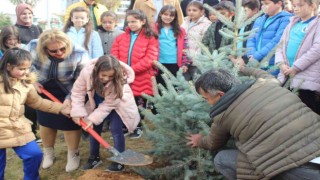 Vali Ergünün öğretmen eşi ‘Öğretmenler Gününü fidan dikerek kutladı