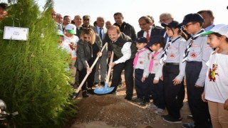 Vali Pehlivan fidan dikim etkinliğine katıldı